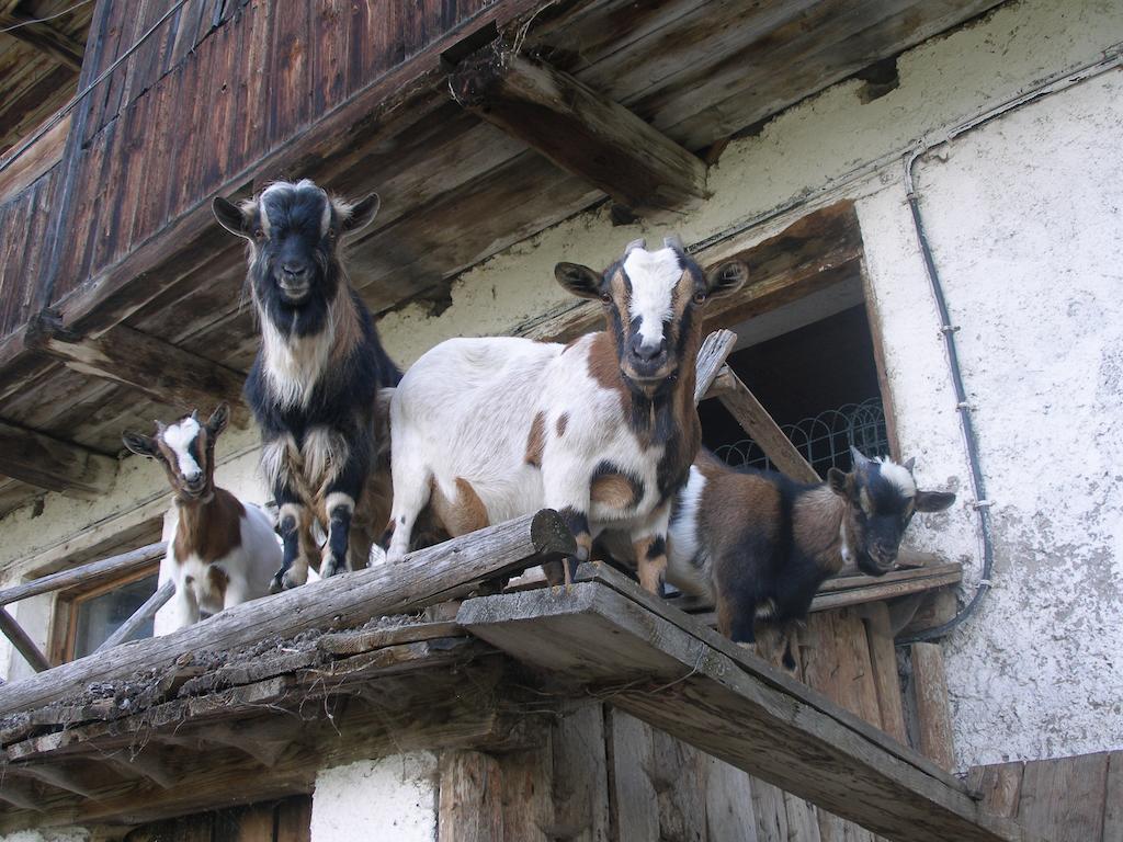 Oberschoellberghof Lutago Buitenkant foto